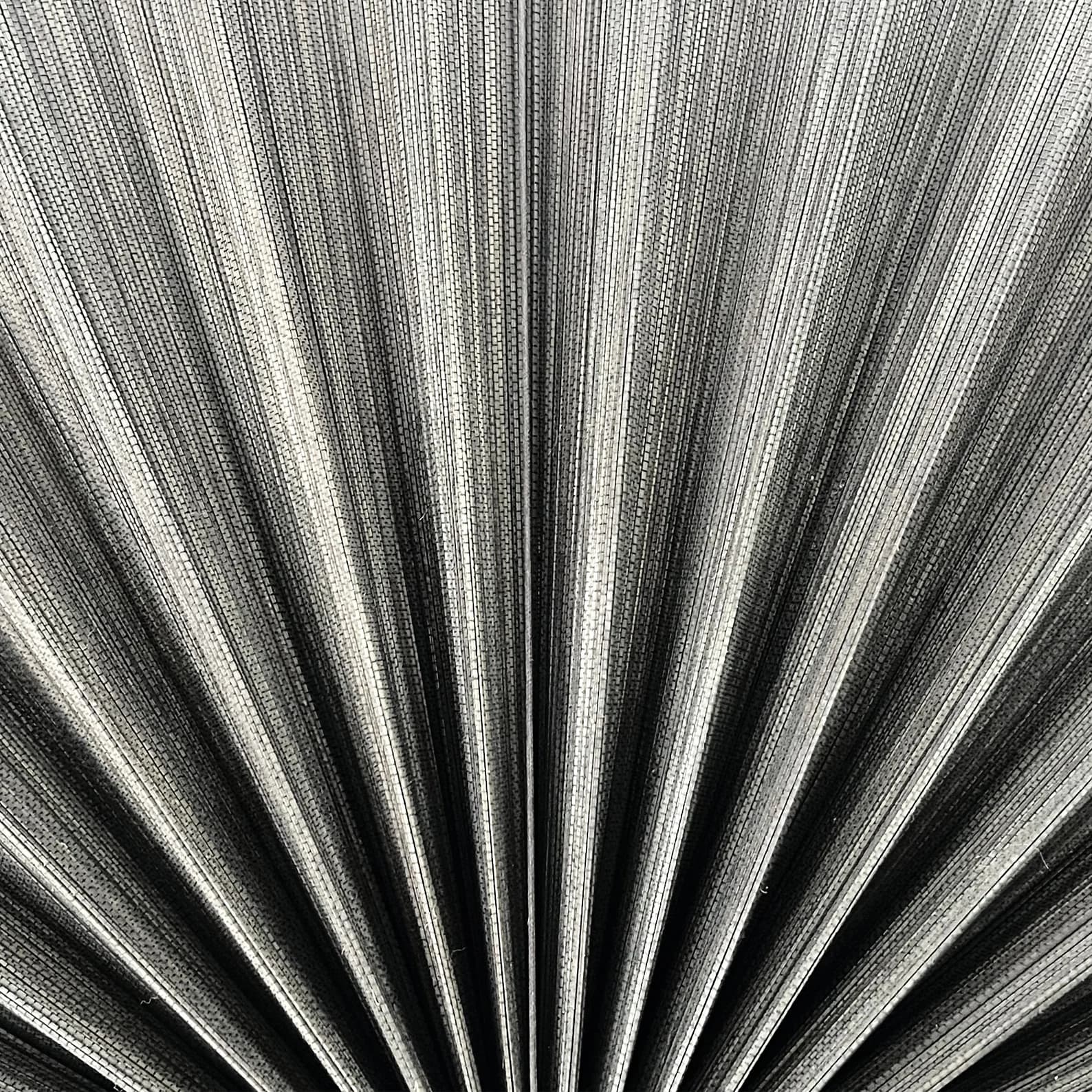 Bamboo Decorative Fans, Handcrafted Bamboo Fans, Boho Bamboo Wall Decor, Artisan Bamboo Fan Decor, Bamboo Fan, Traditional Bamboo Wall Art 7