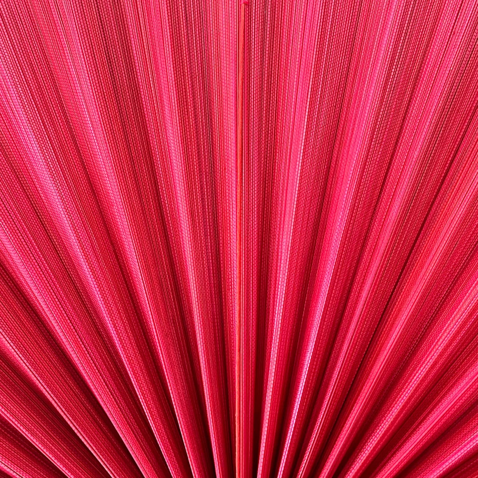 Wall Fan Decor, Bamboo Decorative Fans, Handcrafted Bamboo Fan, Boho Bamboo Wall Decor, Artisan Bamboo Fan Decor, Bamboo Fan ( Style Fan 51) 8