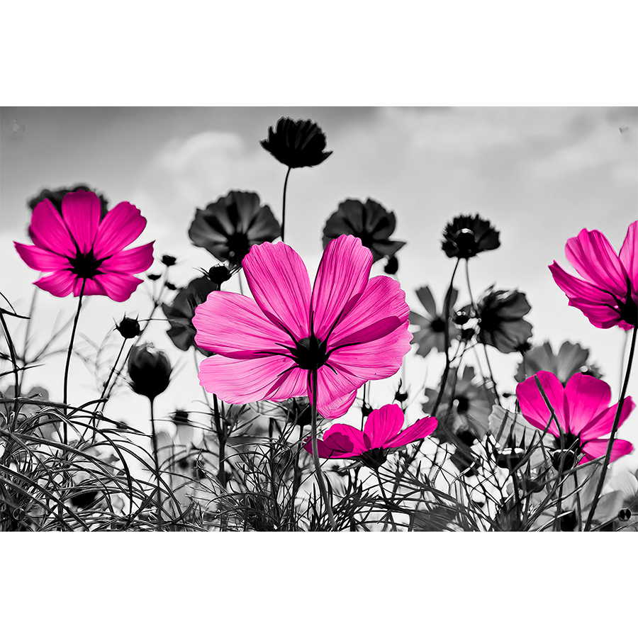 black-and-white-framed-galsang-floral-prints-pink-flower-canvas-wall-art-1.jpg?t=woocommerce_gallery_thumbnail