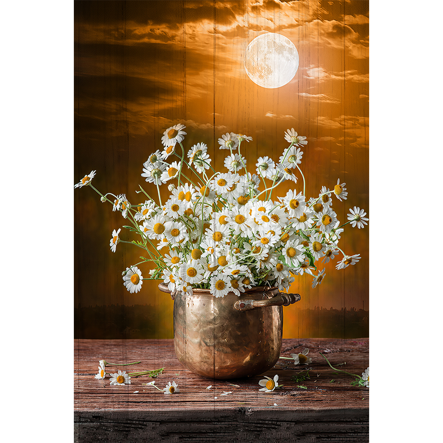 canvas-print-wall-art-vibrant-spring-white-daisy-flower-field-flower-canvas-wall-art-1.jpg?t=woocommerce_gallery_thumbnail