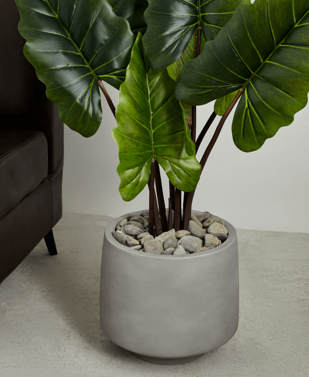 large-nordic-minimalist-light-cement-concrete-lightweight-round-planter-pot-15-11-inch-fiddle-fig-ficus-rubber-burgundy-cement-charcoal-1.jpg?t=woocommerce_gallery_thumbnail