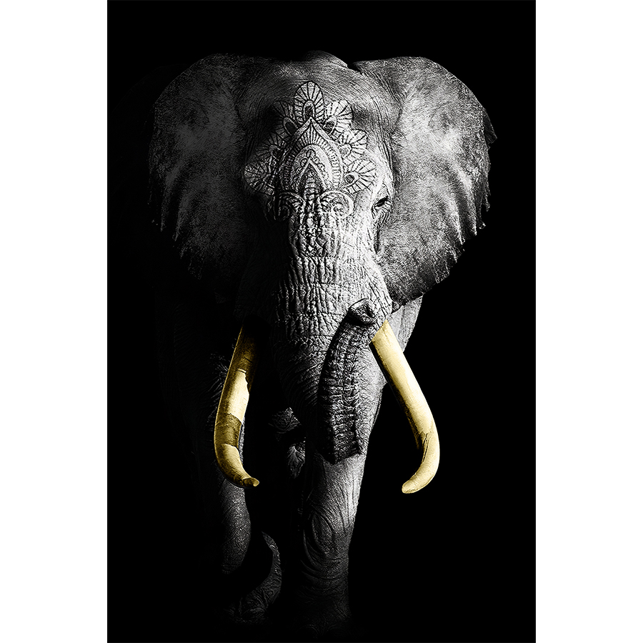 light-shadow-ganesha-elephant-religious-animal-canvas-prints-1.jpg?t=woocommerce_gallery_thumbnail