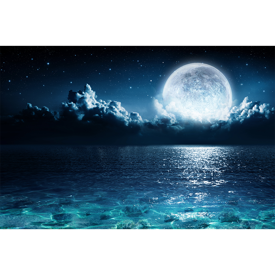 moon-sea-ocean-landscape-picture-canvas-wall-art-print-1.jpg?t=woocommerce_gallery_thumbnail