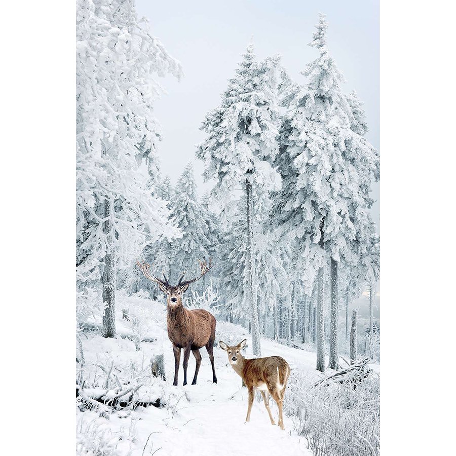 reindeer-canvas-wall-art-christmas-canvas-wall-art-1.jpg?t=woocommerce_gallery_thumbnail