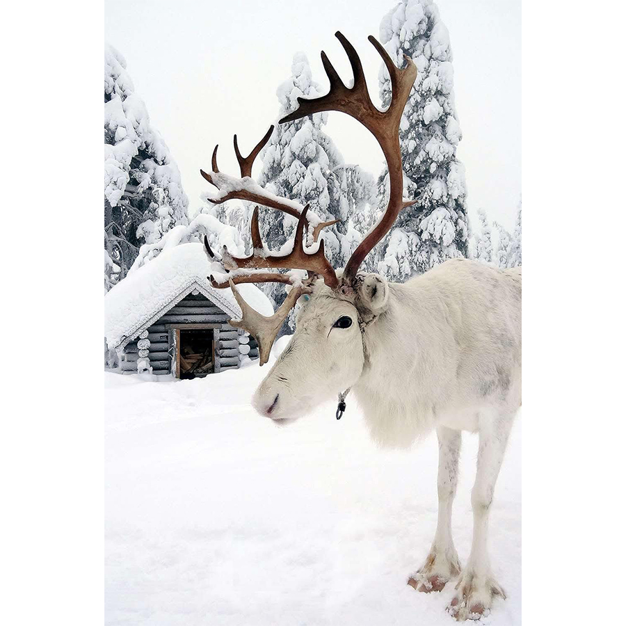 reindeer-wall-art-on-print-christmas-canvas-on-prints-1.jpg?t=woocommerce_gallery_thumbnail