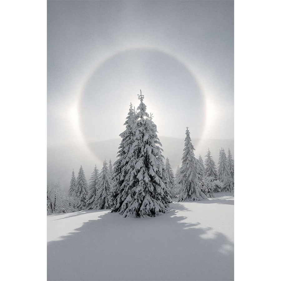 snowy-pine-trees-canvas-art-christmas-prints-on-canvas-1.jpg?t=woocommerce_gallery_thumbnail