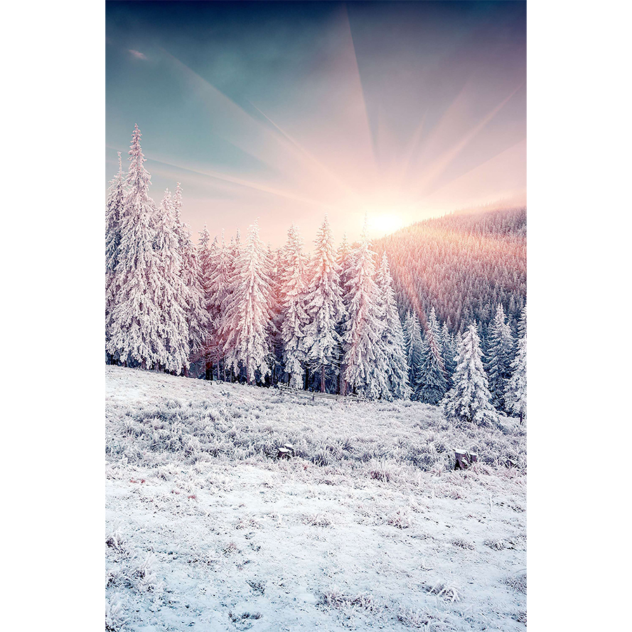 snowy-trees-canvas-art-for-decoration-santa-canvas-wall-art-1.jpg?t=woocommerce_gallery_thumbnail